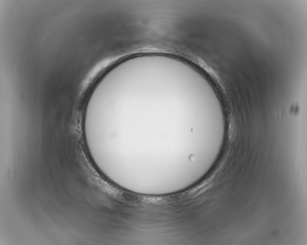 X0000089661454200706210720