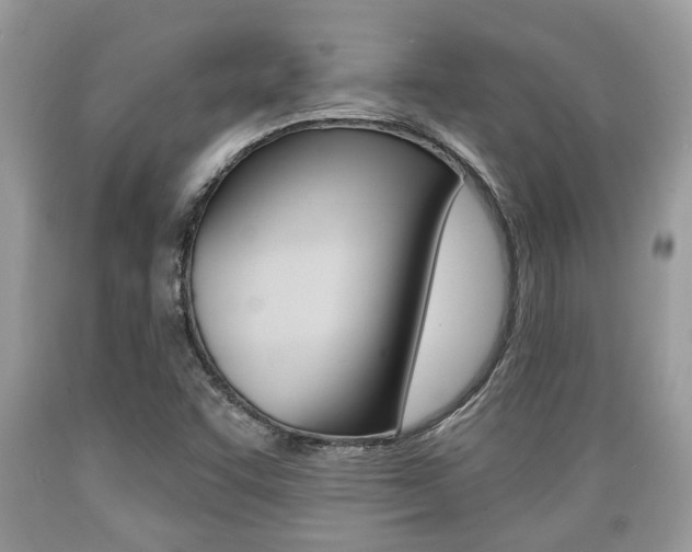 X0000089661455200706210720