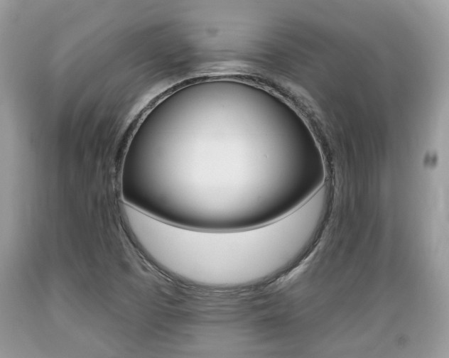 X0000089661457200706210720