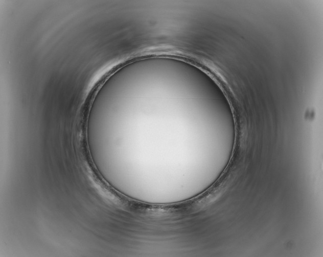 X0000089661458200706210720