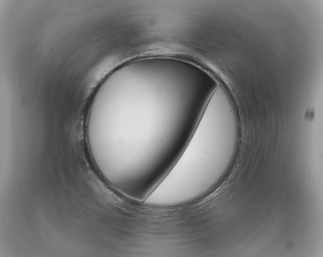 X0000089661459200706210720
