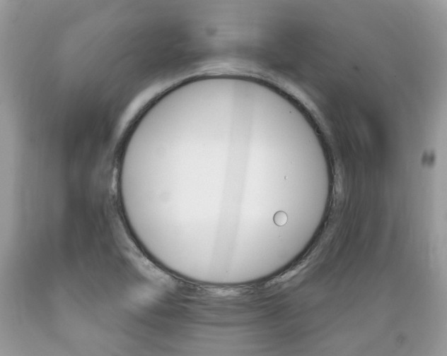 X0000089661462200706210720
