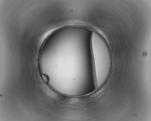 X0000089661463200706210720
