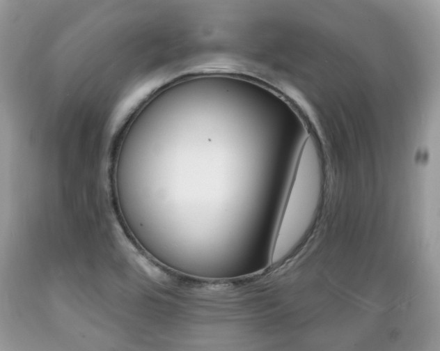 X0000089661464200706210720