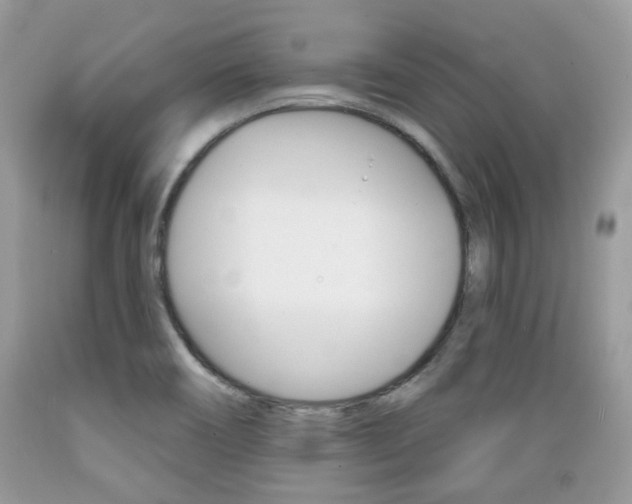 X0000089661466200706210719