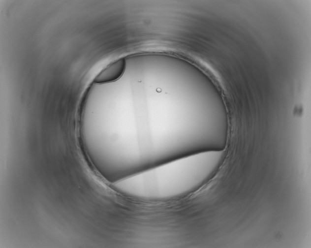X0000089661467200706210719