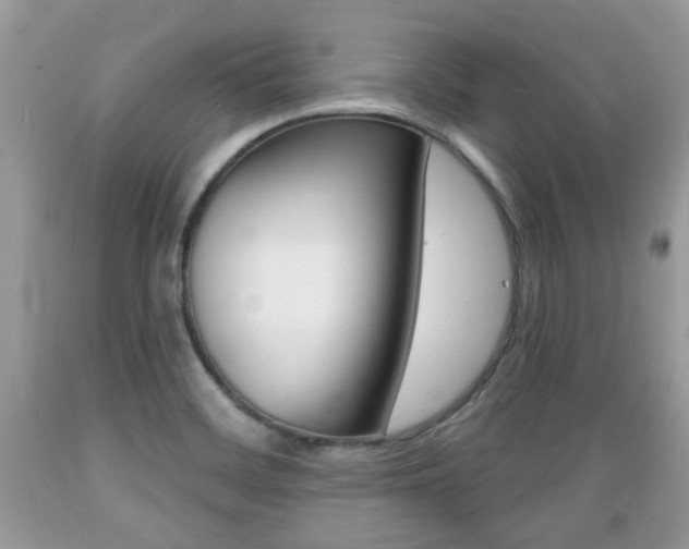 X0000089661468200706210719