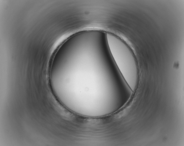 X0000089661469200706210719