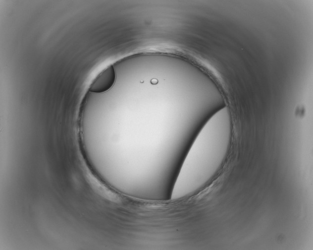 X0000089661471200706210719
