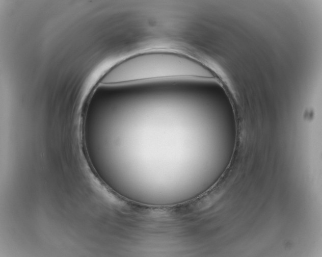 X0000089661472200706210719
