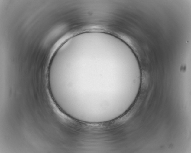 X0000089661474200706210719