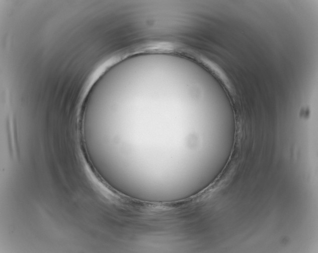 X0000089661475200706210719