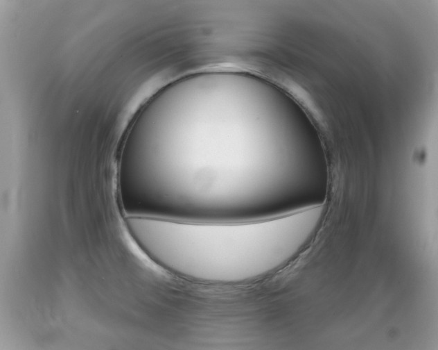X0000089661476200706210719