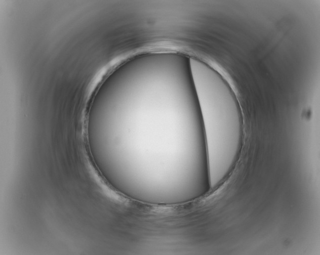 X0000089661477200706210719