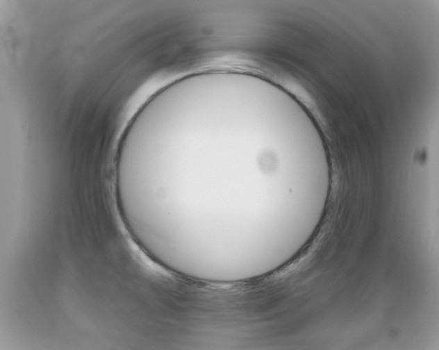 X0000089661478200706210719