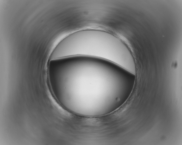 X0000089661479200706210719