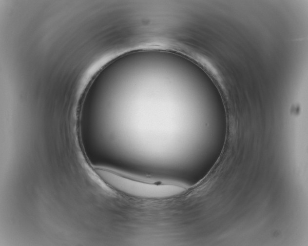 X0000089661480200706210719