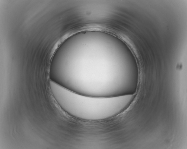 X0000089661481200706210719