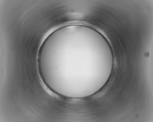 X0000089661482200706210719