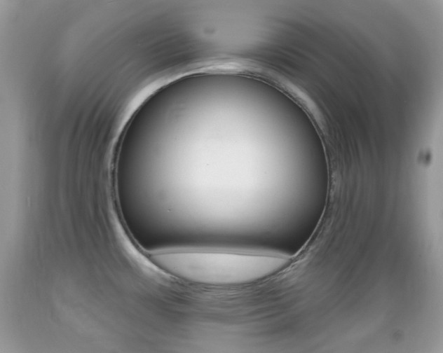X0000089661483200706210719