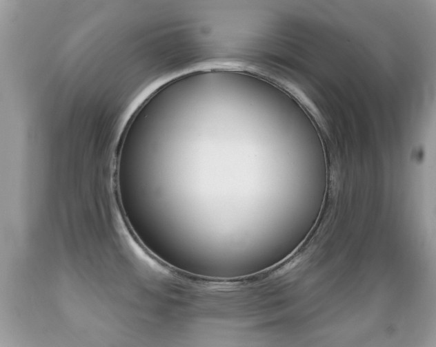 X0000089661484200706210719
