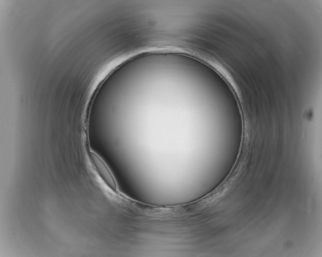X0000089661485200706210719