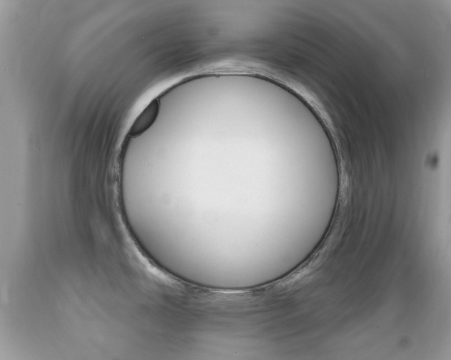 X0000089661486200706210719
