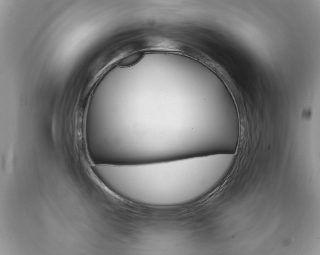 X0000089661487200706210719