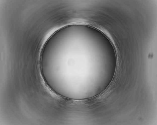 X0000089661488200706210719