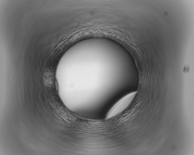 X0000089661490200706210719