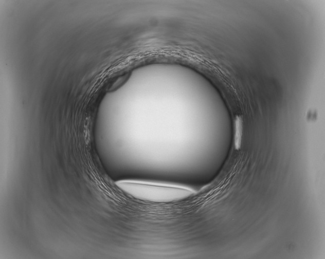 X0000089661491200706210719
