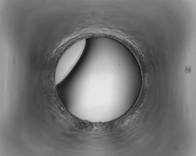 X0000089661494200706210719