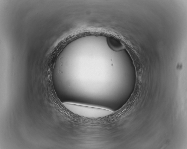 X0000089661495200706210719