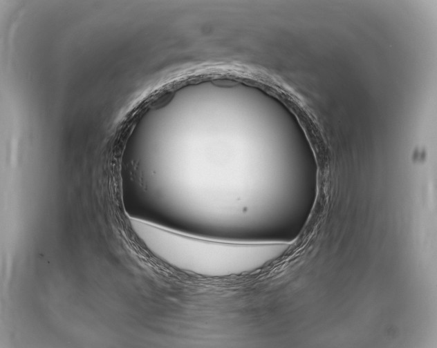 X0000089661496200706210719