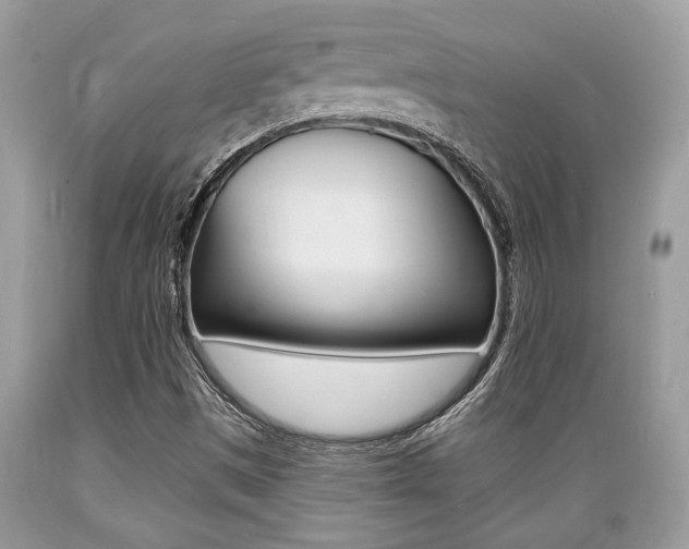 X0000089661497200706210719