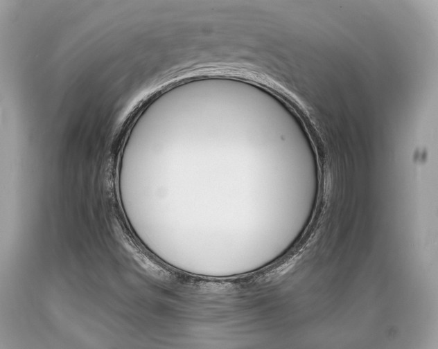 X0000089661498200706210719