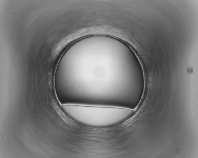 X0000089661499200706210719