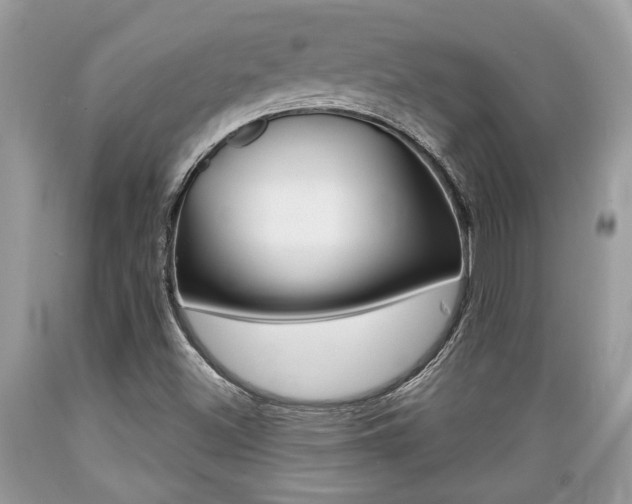 X0000089661500200706210719
