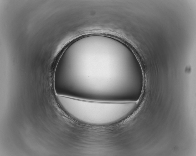 X0000089661501200706210719