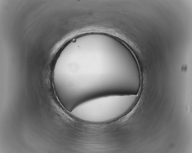 X0000089661502200706210719