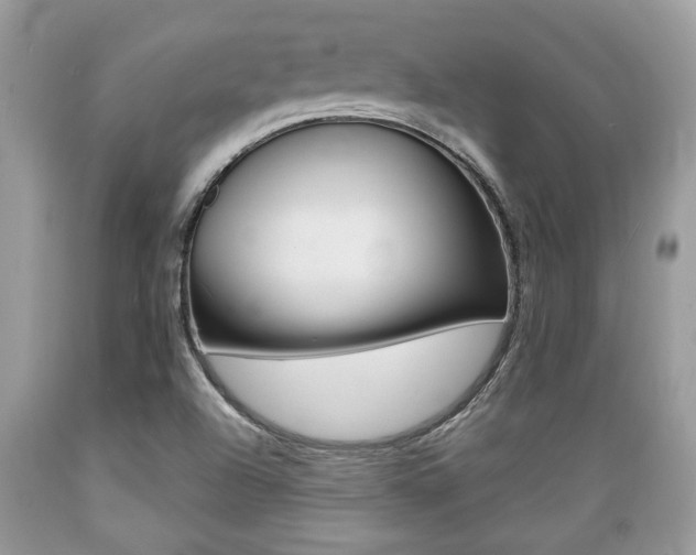 X0000089661504200706210719