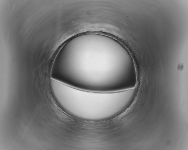 X0000089661505200706210719