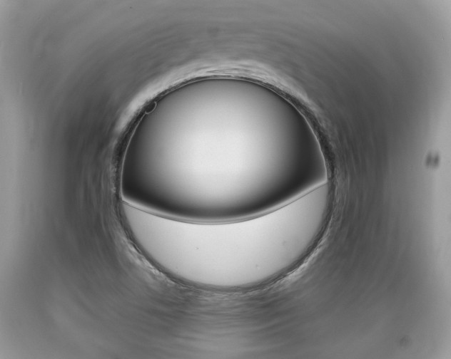 X0000089661506200706210719