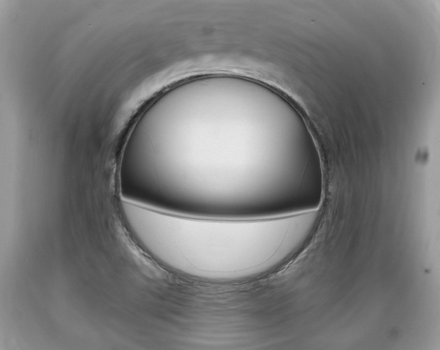 X0000089661507200706210719
