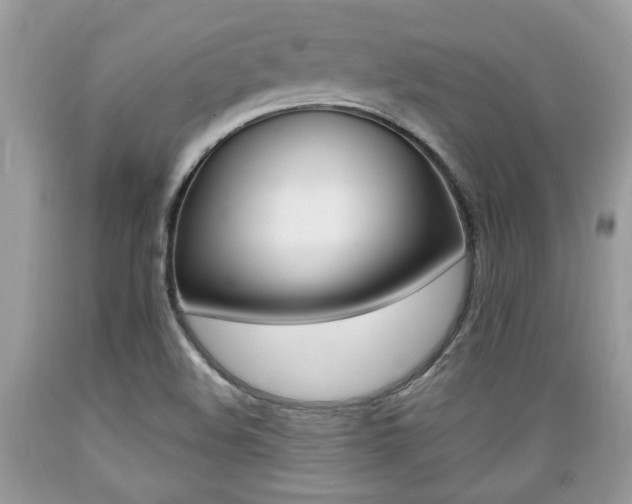 X0000089661508200706210719