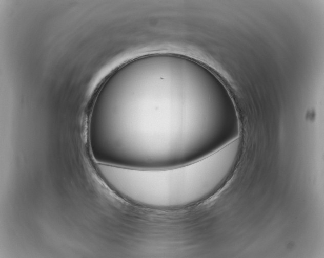 X0000089661510200706210719