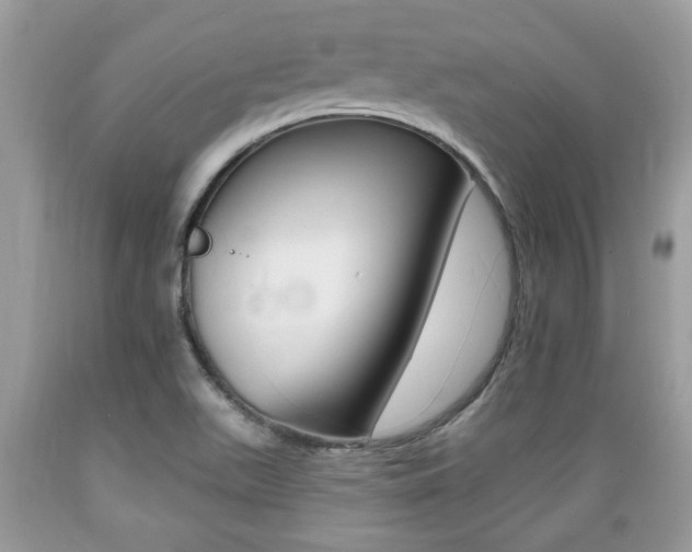 X0000089661511200706210719