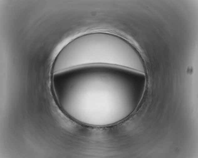 X0000089661512200706210719