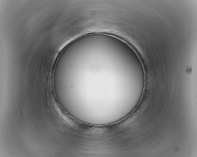 X0000089661513200706210719