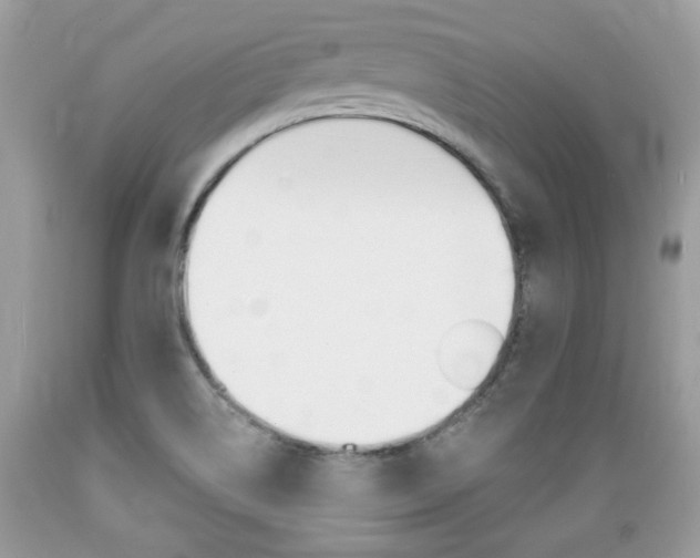 X0000089661514200706210719